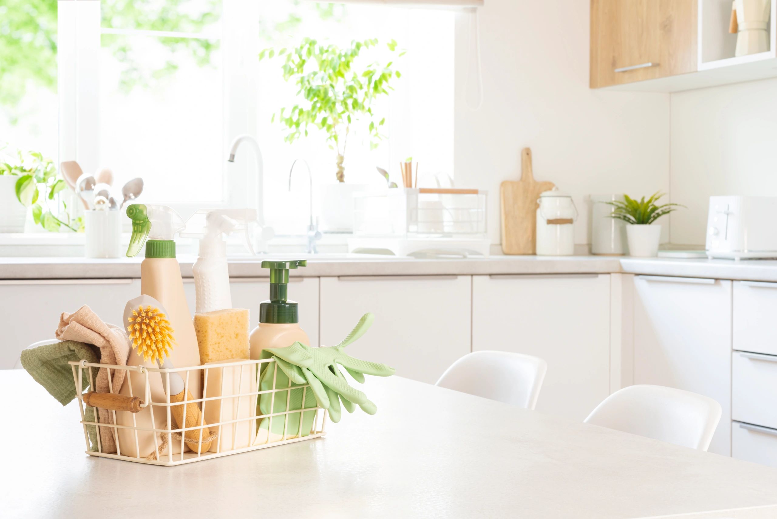 Eco-friendly cleaning products in basket